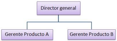 Etapas de la Organización