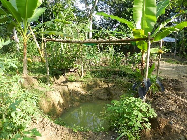 Una ecoaldea en un lugar remoto del Caribe