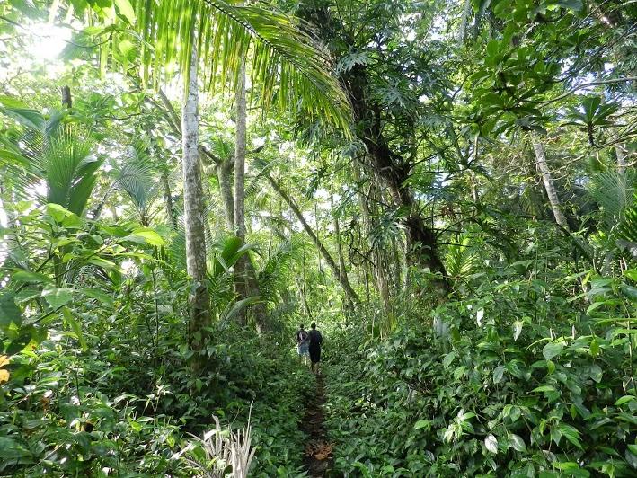 Una ecoaldea en un lugar remoto del Caribe