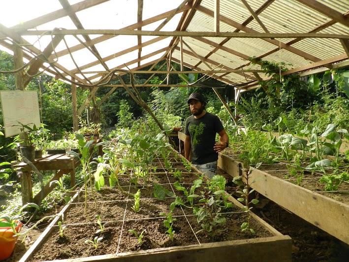 Una ecoaldea en un lugar remoto del Caribe