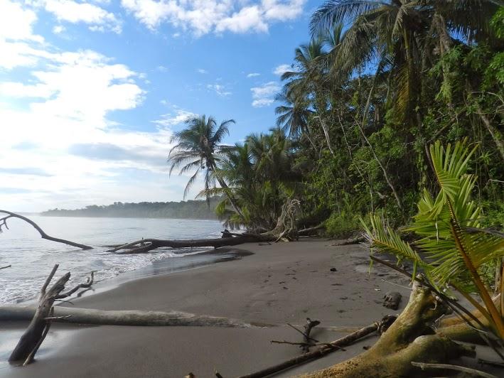 Una ecoaldea en un lugar remoto del Caribe