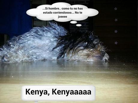 estamos tan agustito