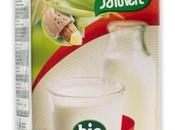 alternativa baja calorías.