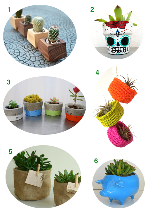 Ideas regalos de Navidad para ti y tus plantas