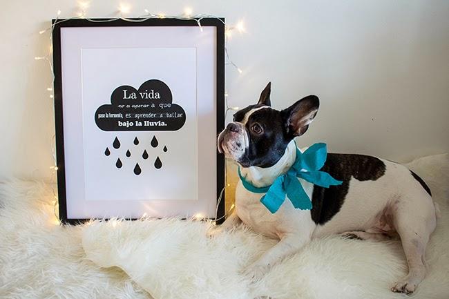 Boho Deco SHOP ABRE SUS PUERTAS!