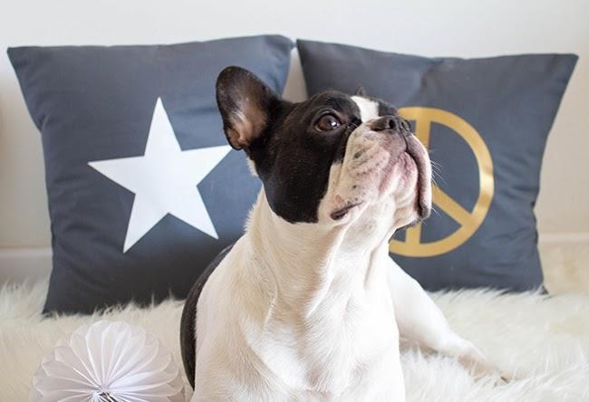 Boho Deco SHOP ABRE SUS PUERTAS!