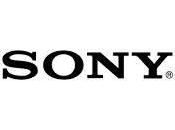 Sony lanzará pendrives especiales para smartphones tablets