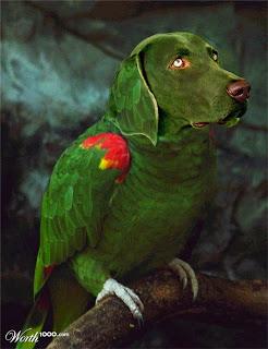 EL LIBRO DE LOS PEQUEÑOS MILAGROS (2013), DE JUAN JACINTO MUÑOZ RENGEL. REALIDADES ALTERNATIVAS.