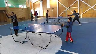 TORNEO DE PING PONG SE REALIZÓ EN GIMNASIO DE LA POBLACIÓN ALFREDO LORCA