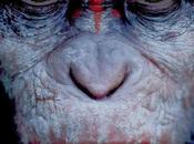 Primer Teaser Trailer Dawn Planet Apes