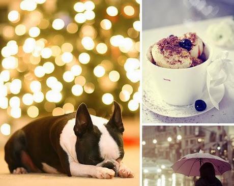 bokeh: cómo hacerlo