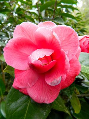 ¡Adoriamo L'Italia! (Parte I)