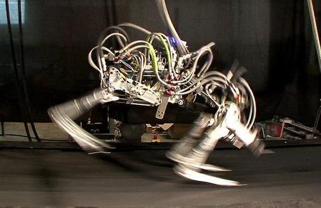 Google adquiere la popular compañía de robots Boston Dynamics