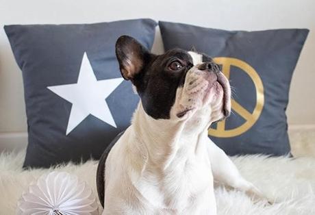 BOHO DECO SHOP, ¡porque quien se casa tiene casa!