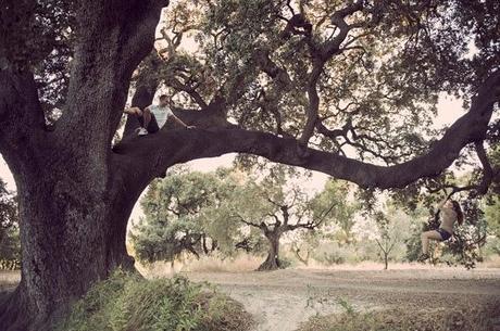 Xavi Baeli - Fotógrafo de Bodas Barcelona