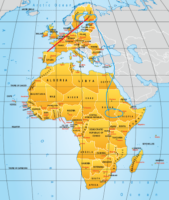 Gaviota báltica anillada en Finlandia