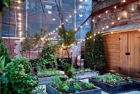 DECOLOOK: LUCITISIMA + PETITECANDELA DECOLOOK: LUCITISIMA + PETITECANDELA