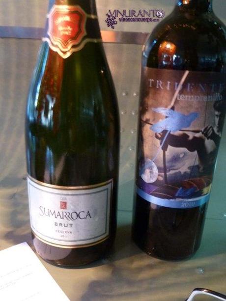 Los vinos que se cataron este especial encuentro.