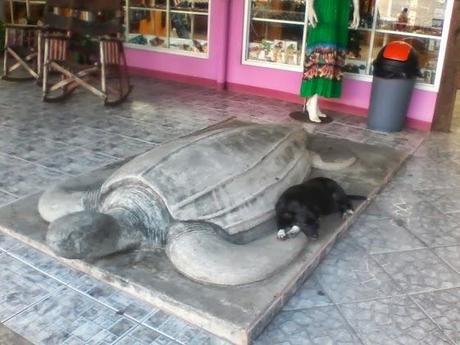 El pueblo de Tortuguero y sus habitantes