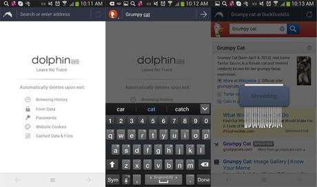 a36c6c5c7514b6662dd5bb31a22217623 Dolphin Zero para Android te permite navegar oculto