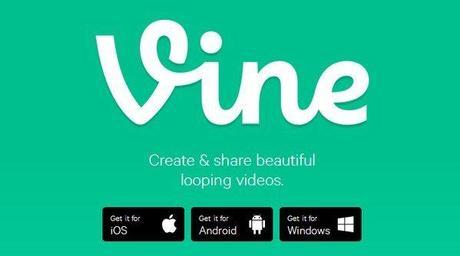 vine