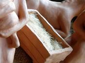 Macro nacimiento barro