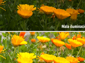 consejos para hacer mejores fotos