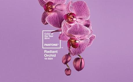 NEW IN RADIANT ORCHID