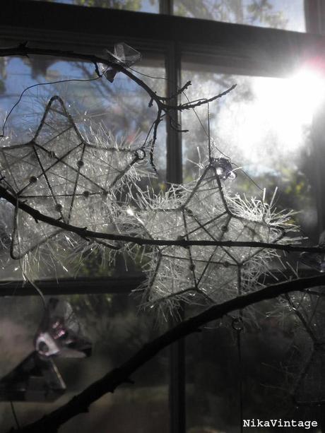 Blog hop! Macro del dia ... a contra luz