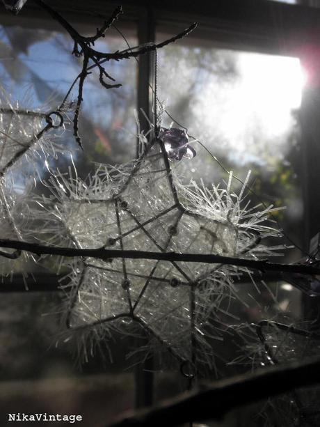 Blog hop! Macro del dia ... a contra luz