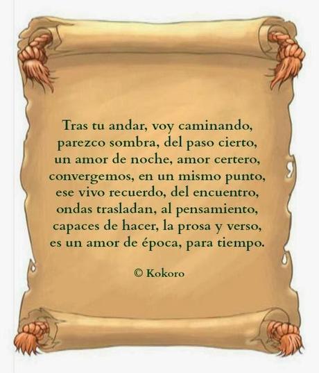 AMOR AGITADO AMOR AGITADO