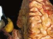 ¿quieres conservar lucidez mental?