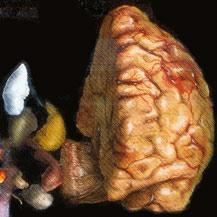 ¿QUIERES CONSERVAR TU LUCIDEZ MENTAL?