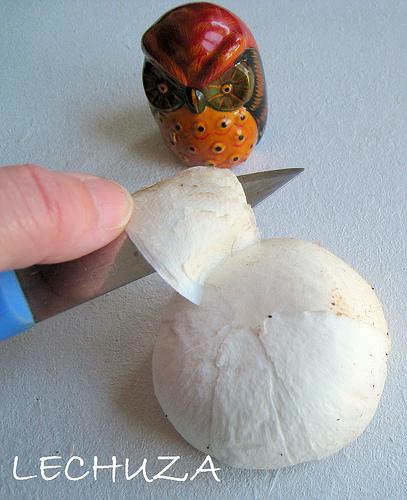 CHAMPIÑONES RELLENOS (19)