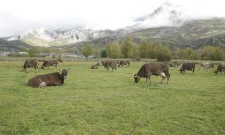 valle_emiliano_babia_lugares_historia