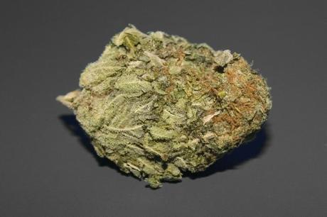 ¿El consumo de marihuana puede producir esquizofrenia? Nuevos datos sugieren que no