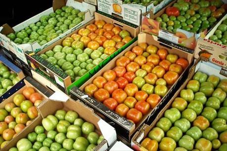 La utopía de la Formación Profesional: en el camino de lo posible