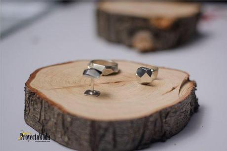 Entramada Invernal de Plata Laguna DSC_6437