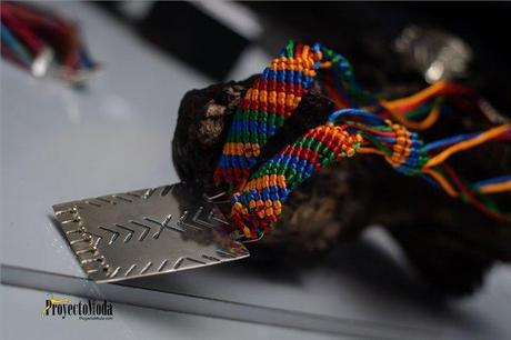 Entramada Invernal de Plata Laguna DSC_6424