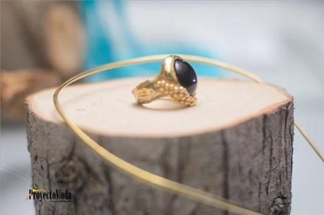 Entramada Invernal de Plata Laguna Anillo con granulado Autor Sofia Murra