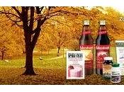 Masque Éclat Lissant Cattier