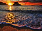 Marea