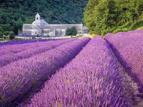 En el 2014: Radiant Orchid