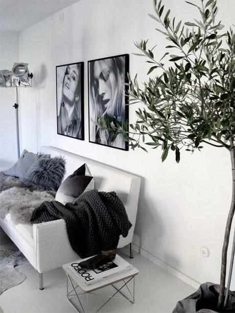 DAYDREAMER MY BLOG DE FOTOGRAFIA (SOÑANDO DESPIERTA)