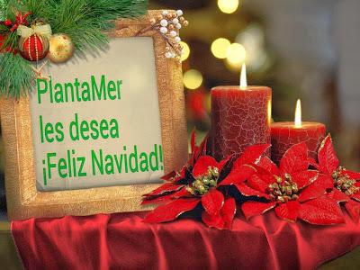 ¡Feliz Navidad 2013! PlantaMer