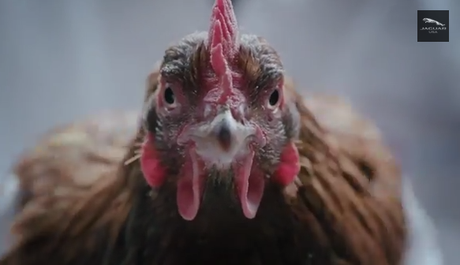 Creatividad publicitaria jaguar