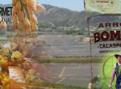 Arroz Calasparra, Murcia