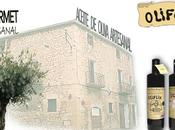 Molino aceite oliva Oliflix estilo tradidional