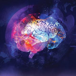 7 alternativas para renovar el cerebro y nuestra inteligencia
