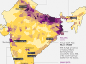 encuesta millón muertes